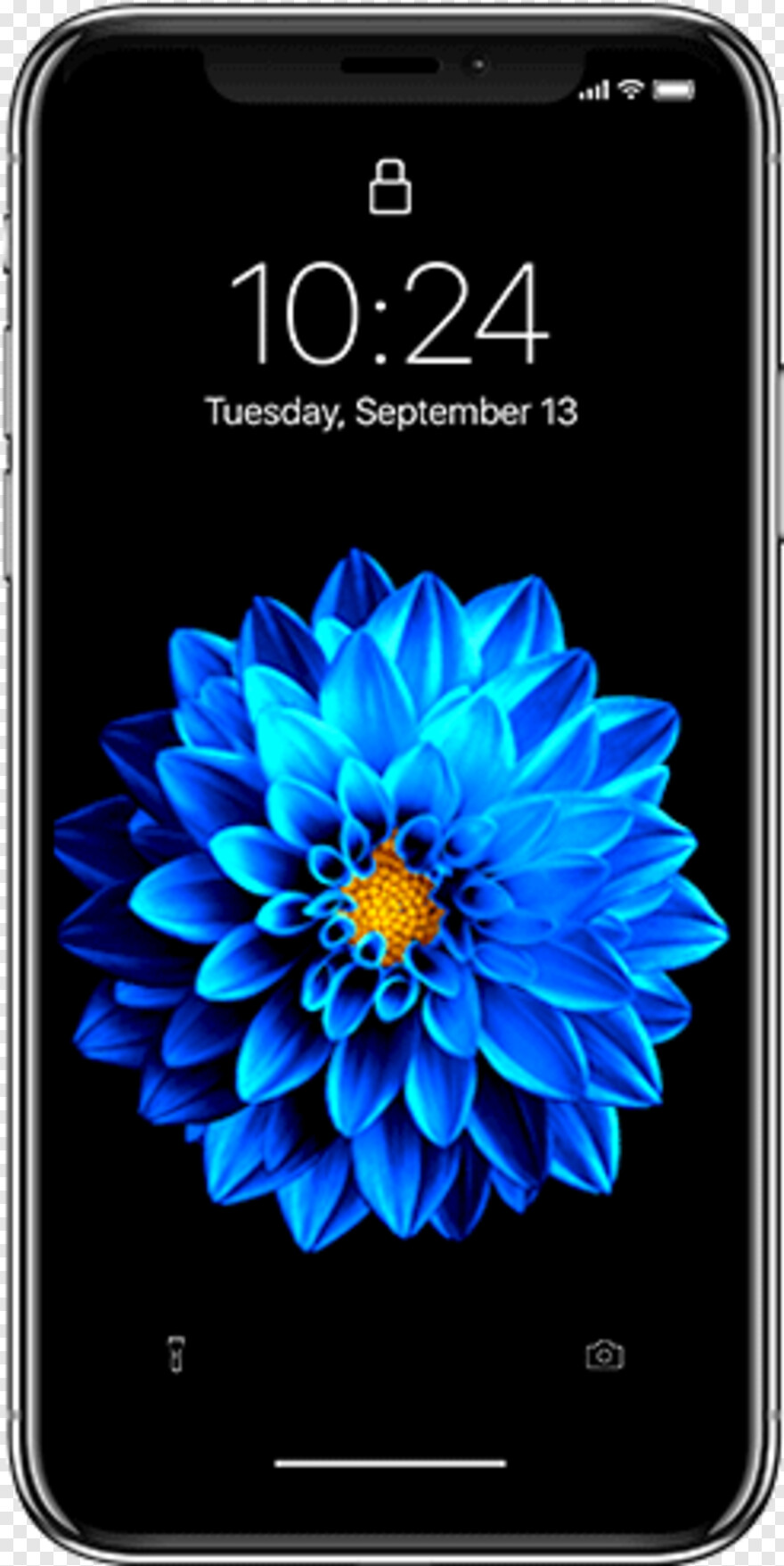 iphone live wallpaper,fiore,testo,petalo,pianta,smartphone