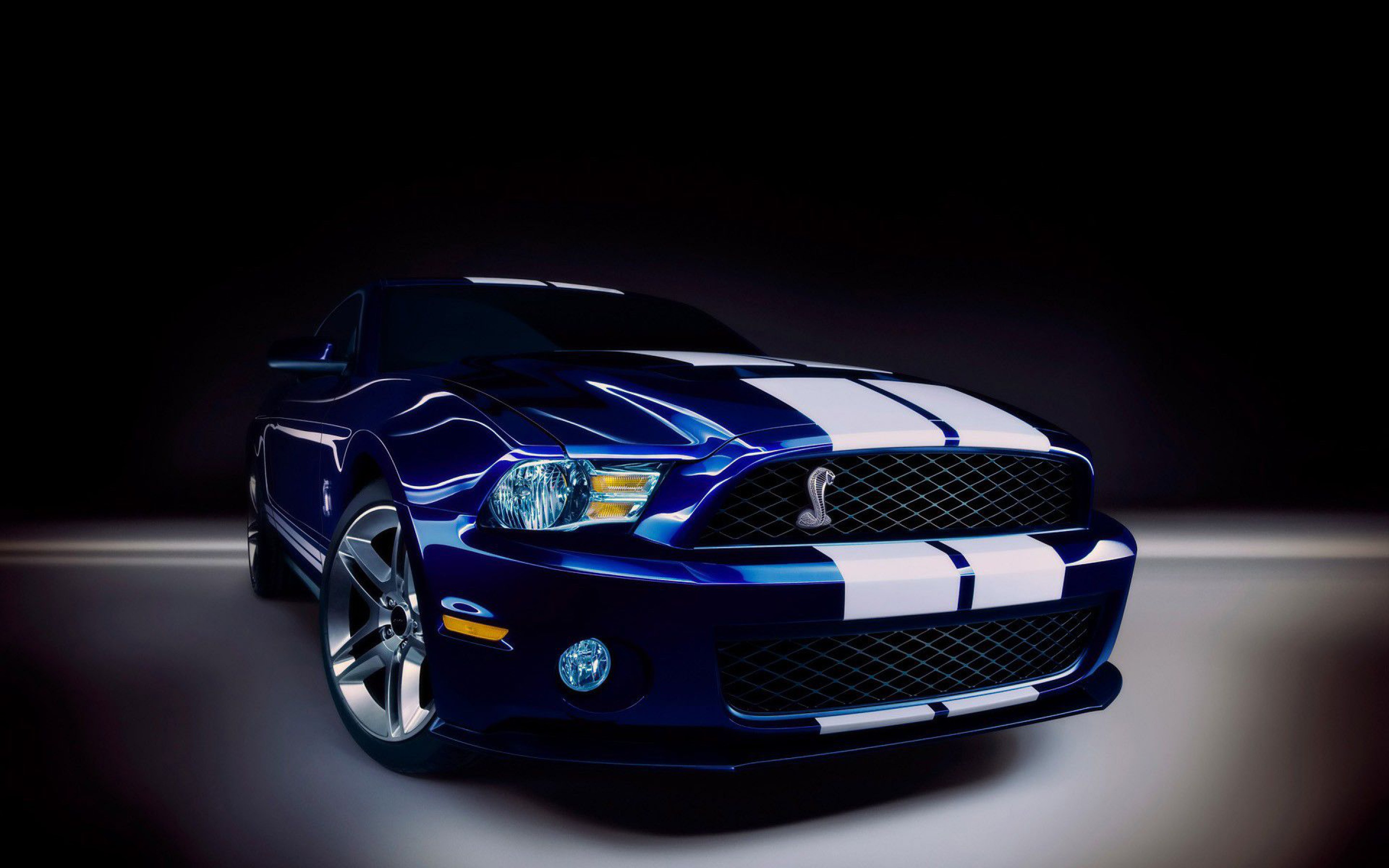 fondo de pantalla hp,vehículo terrestre,vehículo,coche,shelby mustang,vehículo de motor