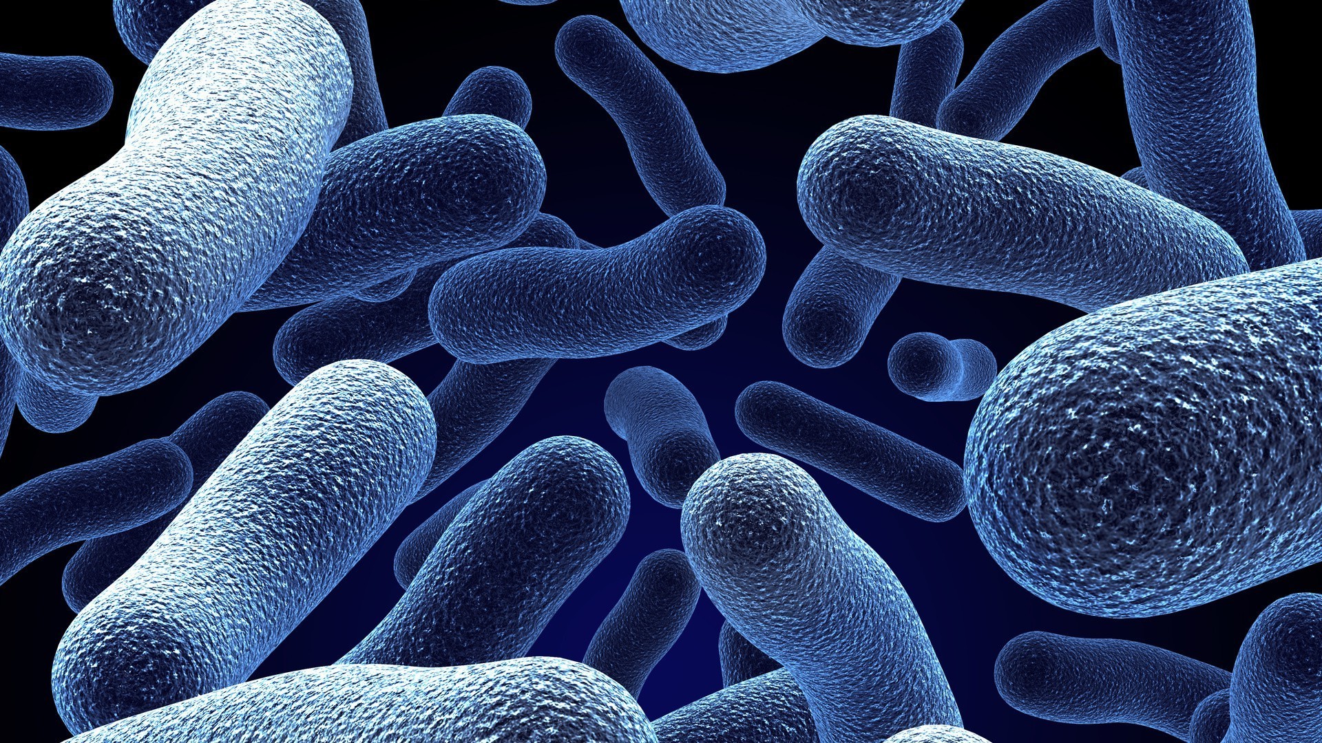 fondo de pantalla de microbiología,azul,de cerca,modelo,stock photography,colorido