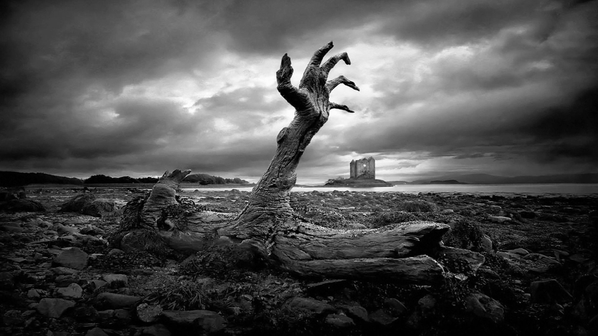 horror wallpaper download,sky,nature,black,black and white,monochrome photography