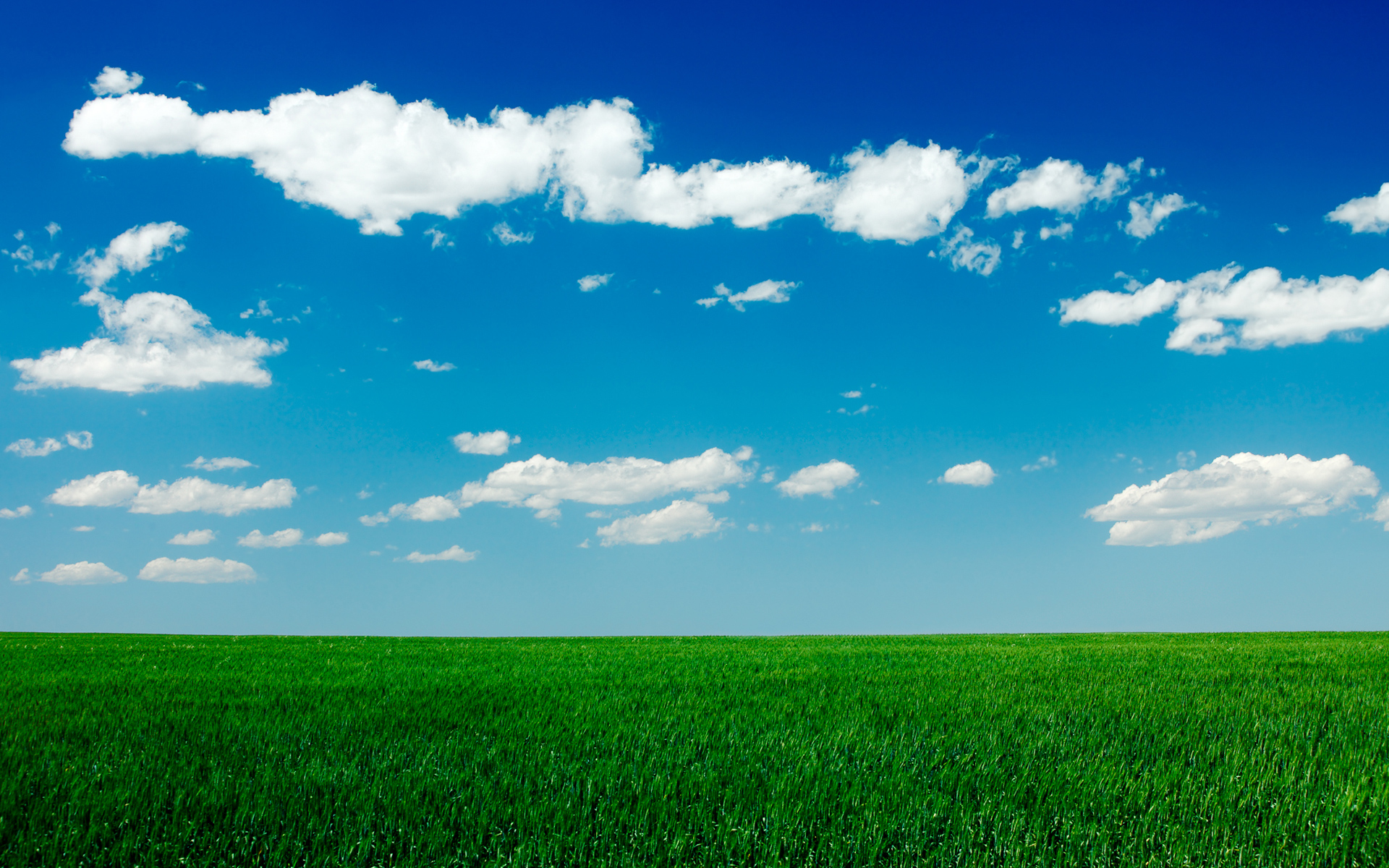 clear sky wallpaper,sky,green,grassland,natural landscape,field