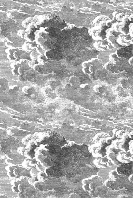 fornasetti 구름 벽지,물,무늬,디자인,검정색과 흰색,단색화