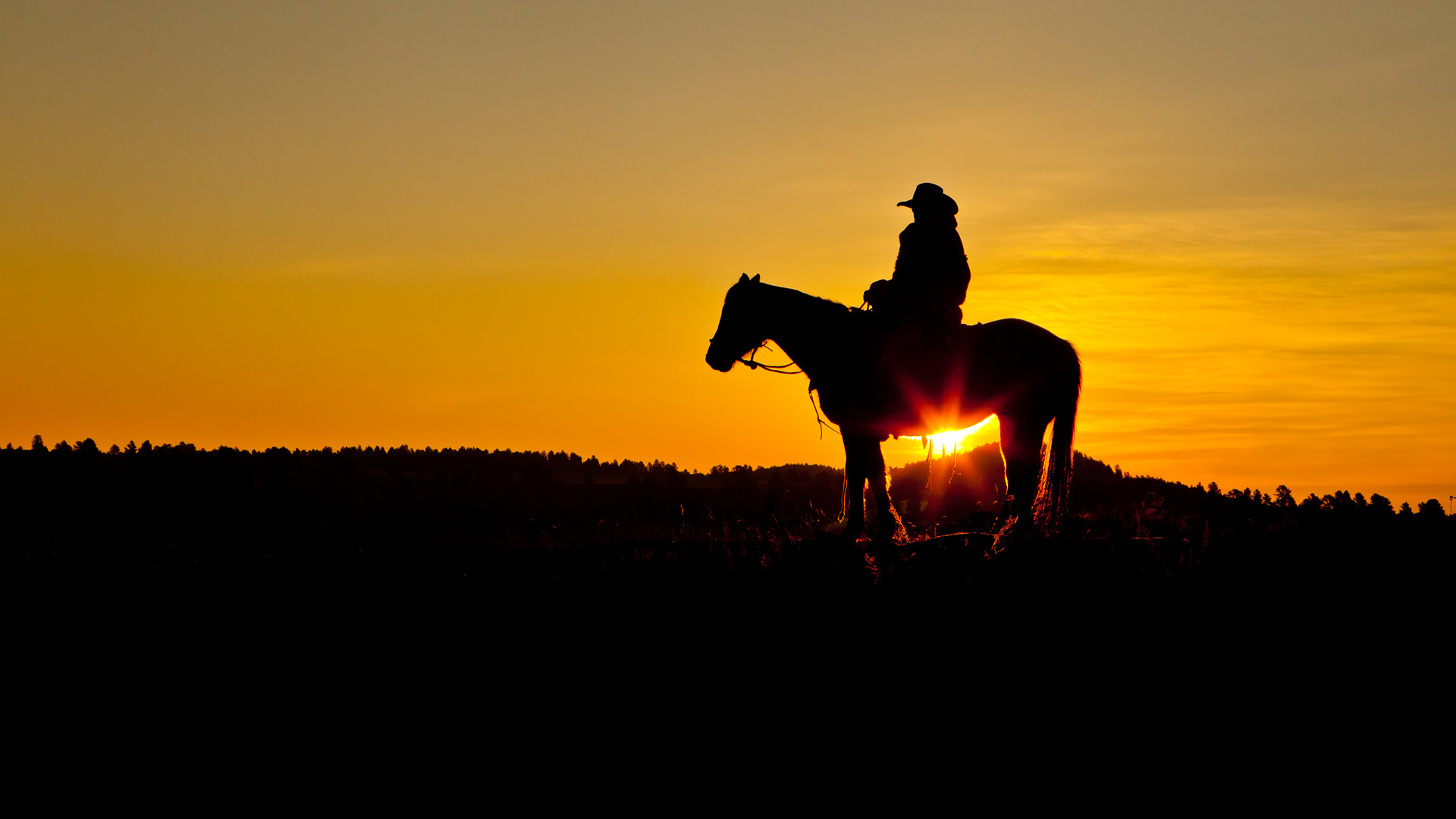 cowboy tapete hd,pferd,himmel,sonnenuntergang,sonnenaufgang,silhouette