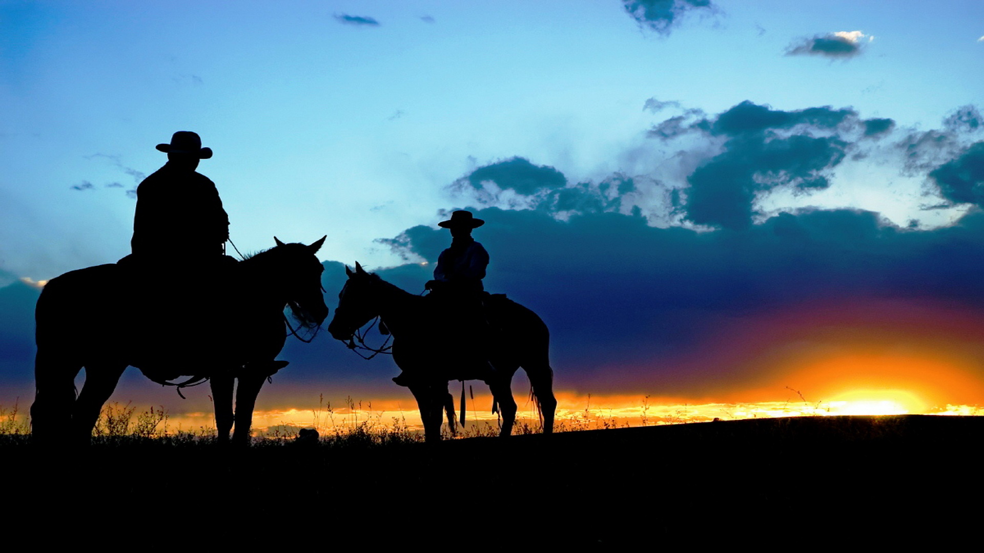 cowboy wallpaper hd,cavallo,cielo,paesaggio,briglia,ranch
