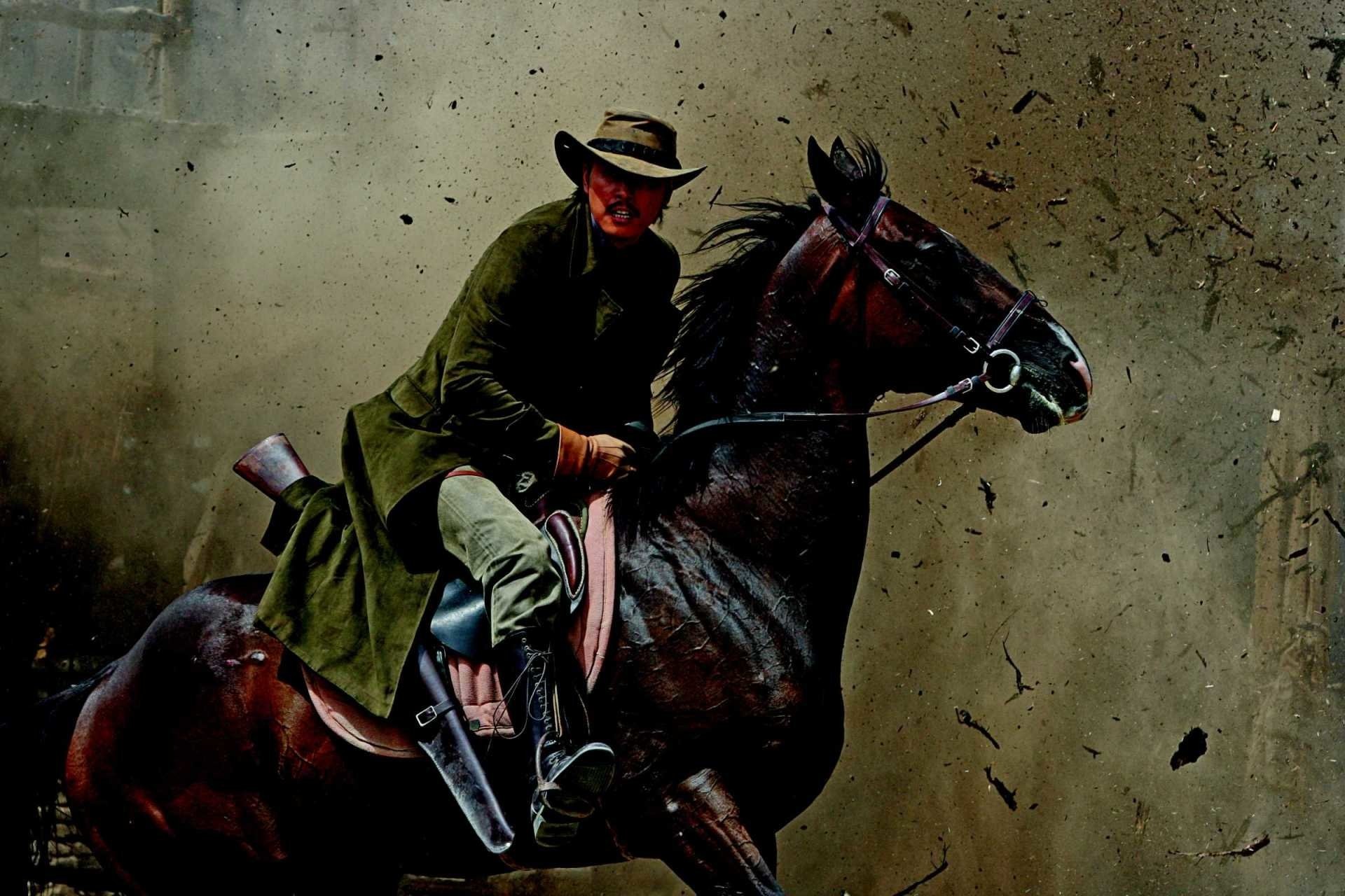 cowboy wallpaper hd,cavallo,briglia,virata a cavallo,stallone