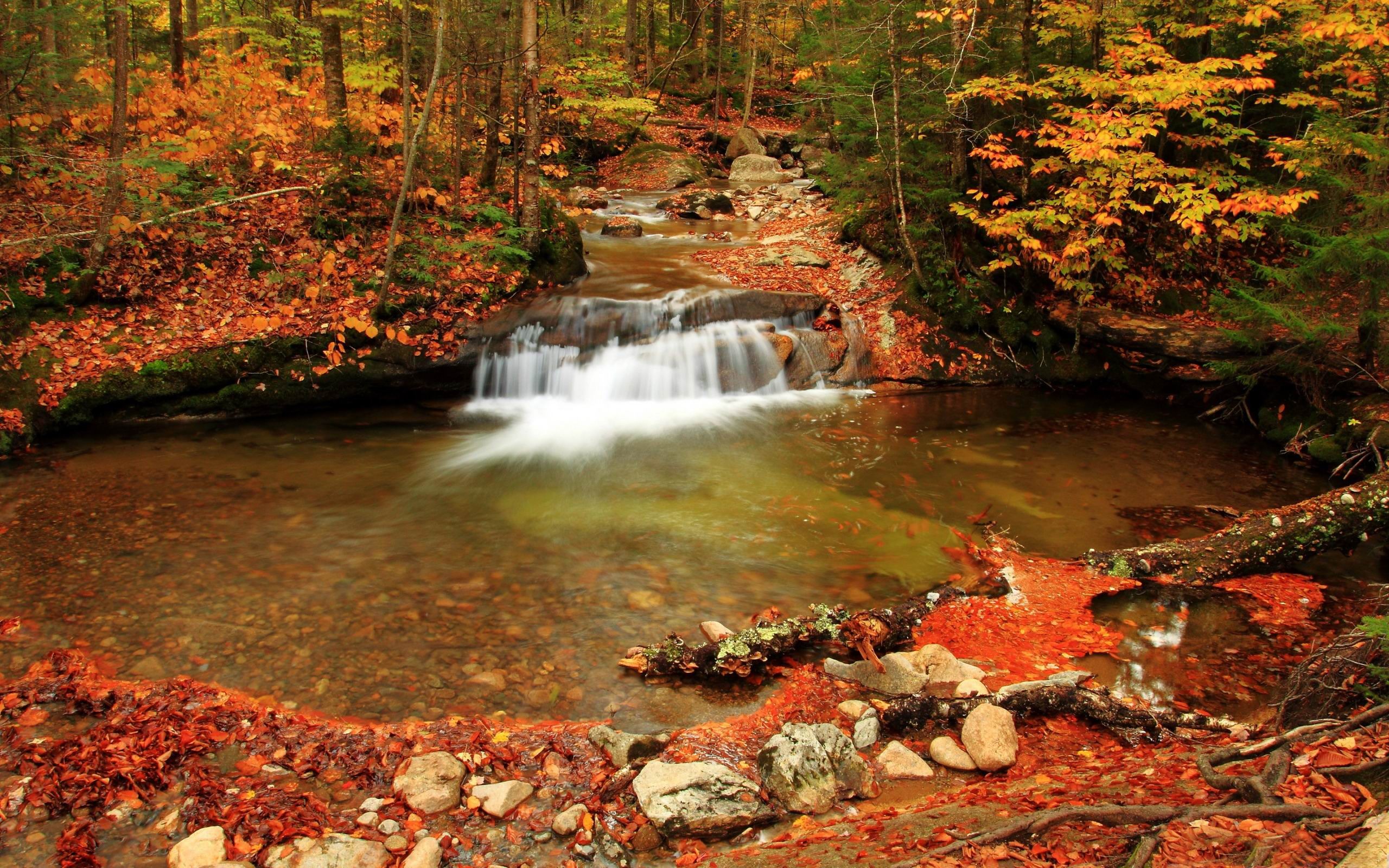 wallpaper com movimento,body of water,natural landscape,nature,stream,watercourse