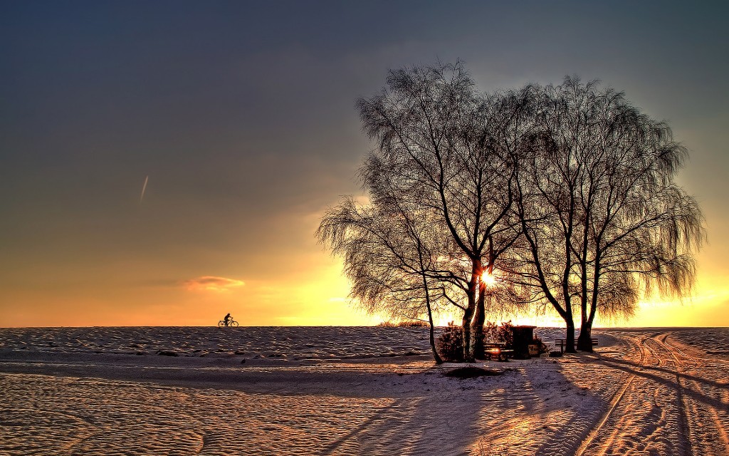 fondo de pantalla com movimento,cielo,naturaleza,paisaje natural,árbol,invierno