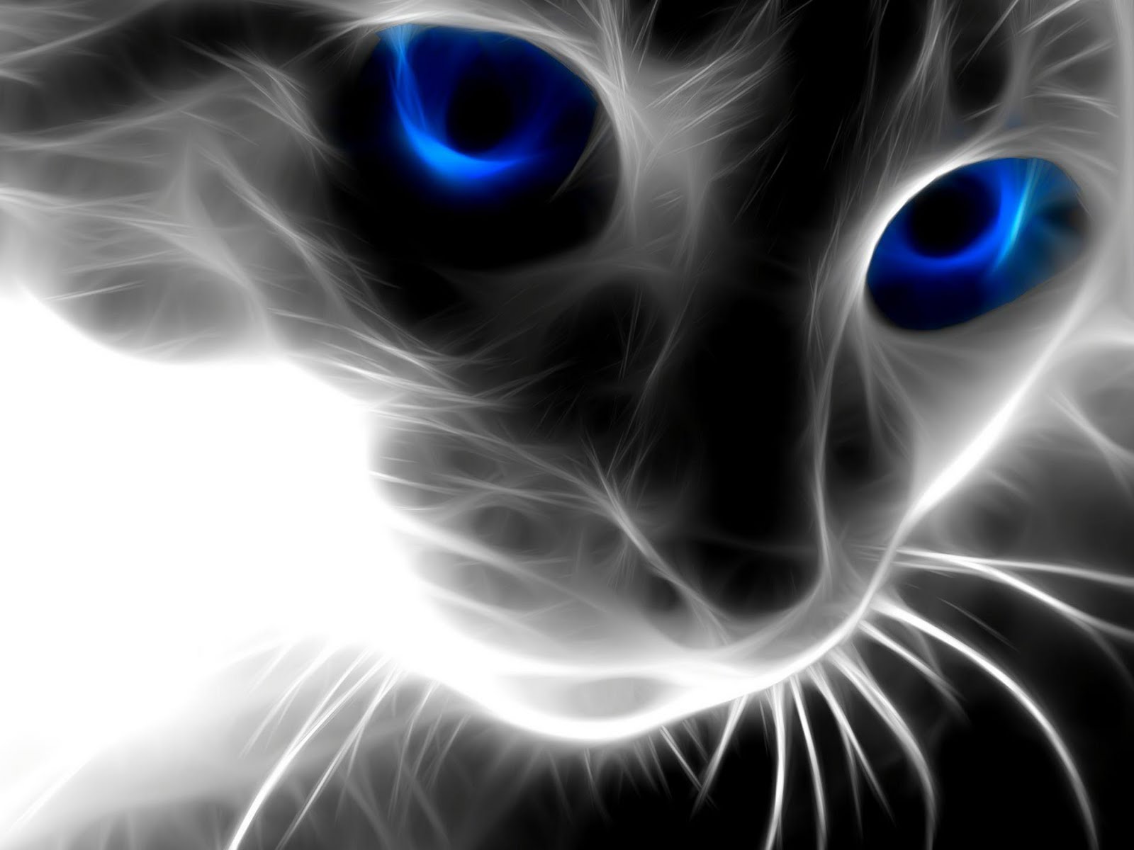 wallpaper que mexe,whiskers,cat,felidae,small to medium sized cats,fractal art
