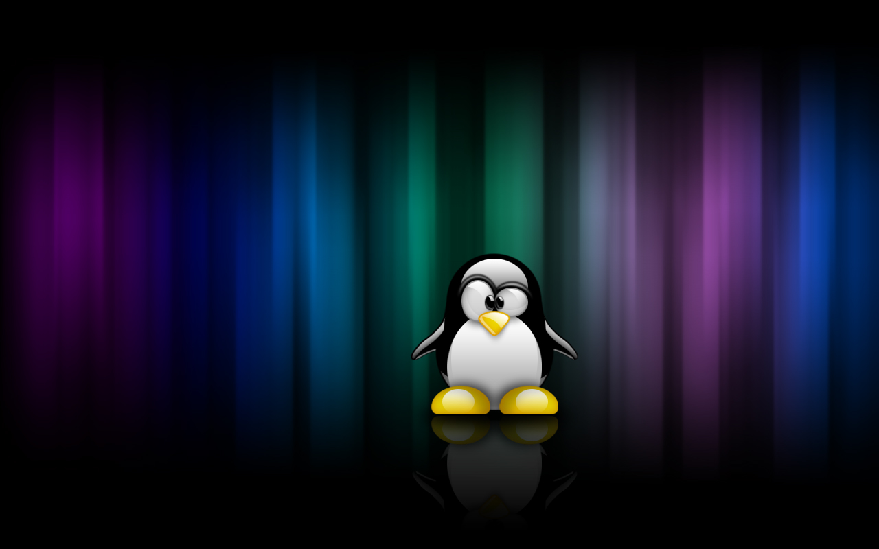 wallpaper que se mexem para pc,flightless bird,bird,cartoon,operating system,penguin