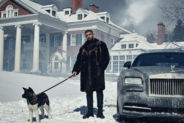 drake visualizzazioni sfondo,neve,auto,cane,veicolo di lusso,inverno