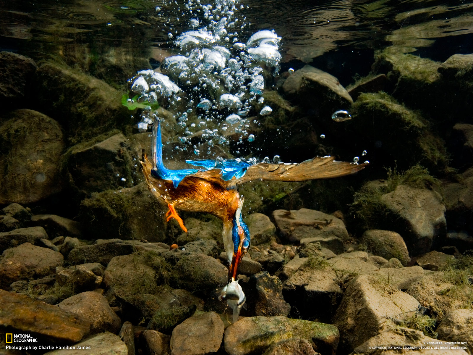 nat geo fond d'écran hd,cours d'eau,l'eau,roche,courant,paysage