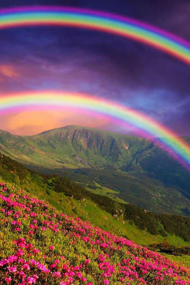 sfondo arcobaleno per iphone,arcobaleno,natura,cielo,paesaggio naturale,fiore di campo