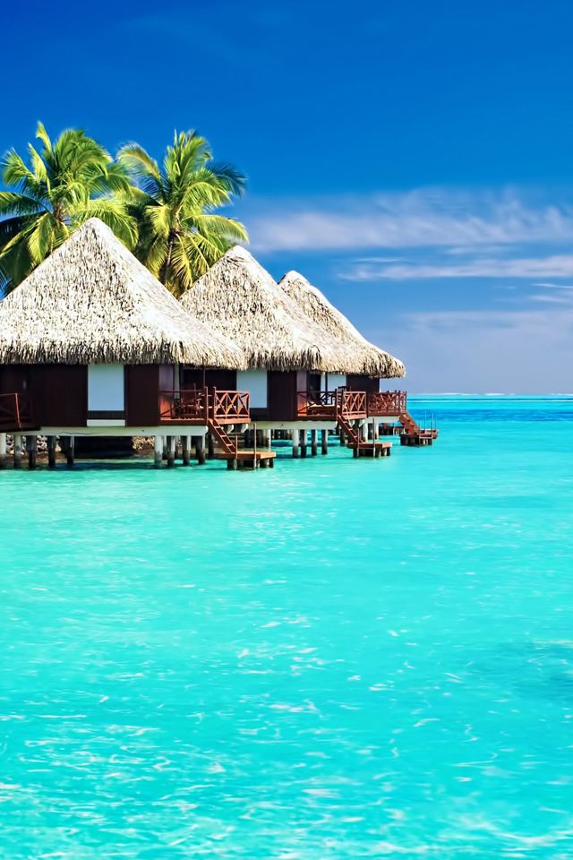 honeymoon wallpaper,vacation,caribbean,turquoise,lagoon,tropics