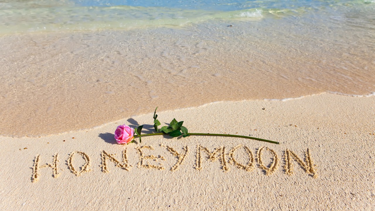 honeymoon wallpaper,sand,text,font,summer,landscape