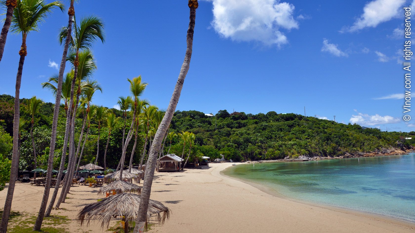 fondo de pantalla de luna de miel,playa,apuntalar,caribe,costa,árbol