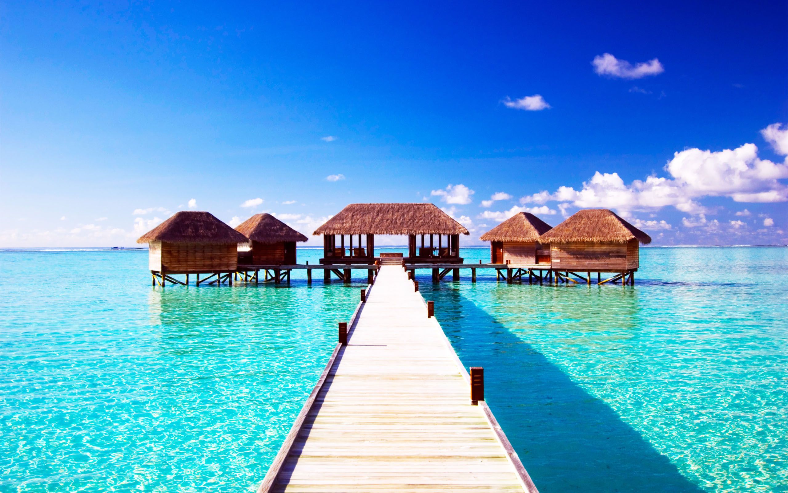 flitterwochen tapete,seebrücke,himmel,natürliche landschaft,urlaub,meer