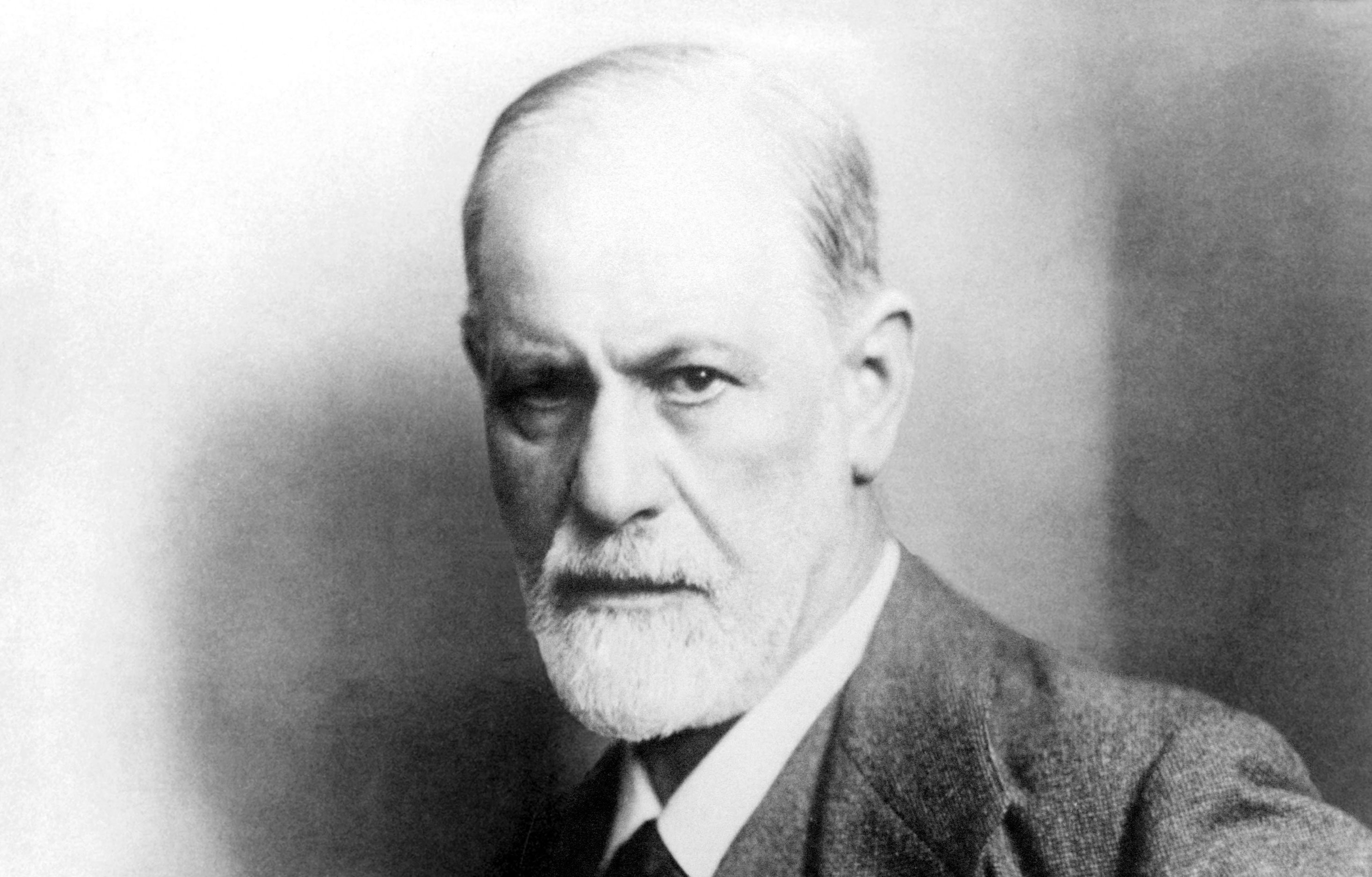 freud wallpaper,stirn,porträt