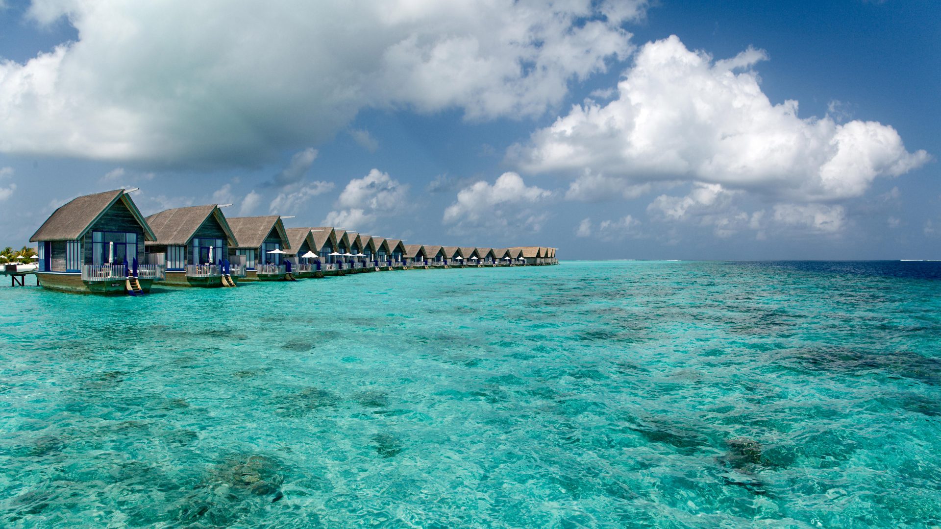 honeymoon wallpaper,body of water,sea,ocean,sky,coastal and oceanic landforms