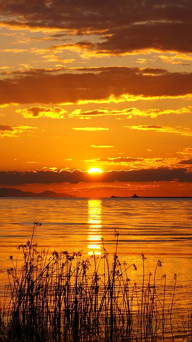 sunrise iphone wallpaper,sky,afterglow,sunrise,horizon,nature