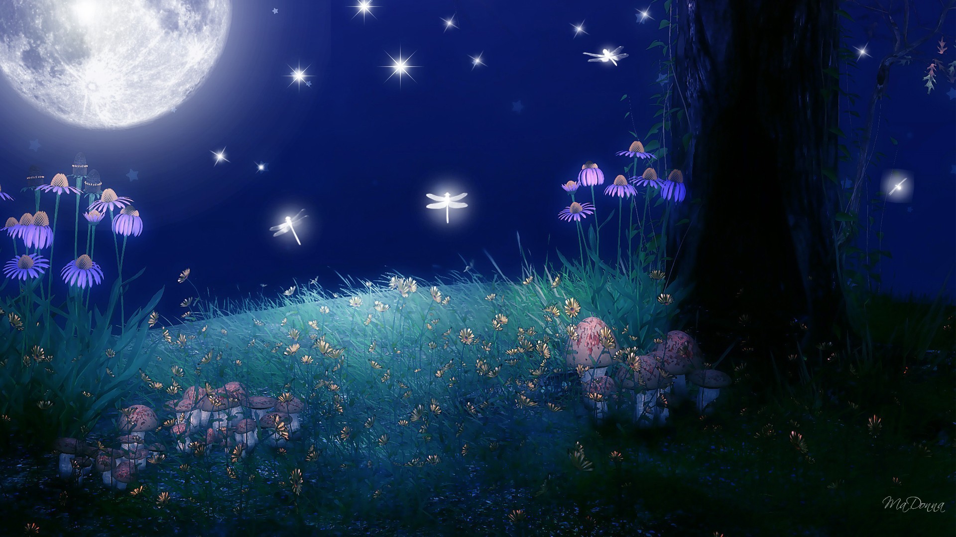 moon wallpaper download,nature,blue,sky,light,atmosphere