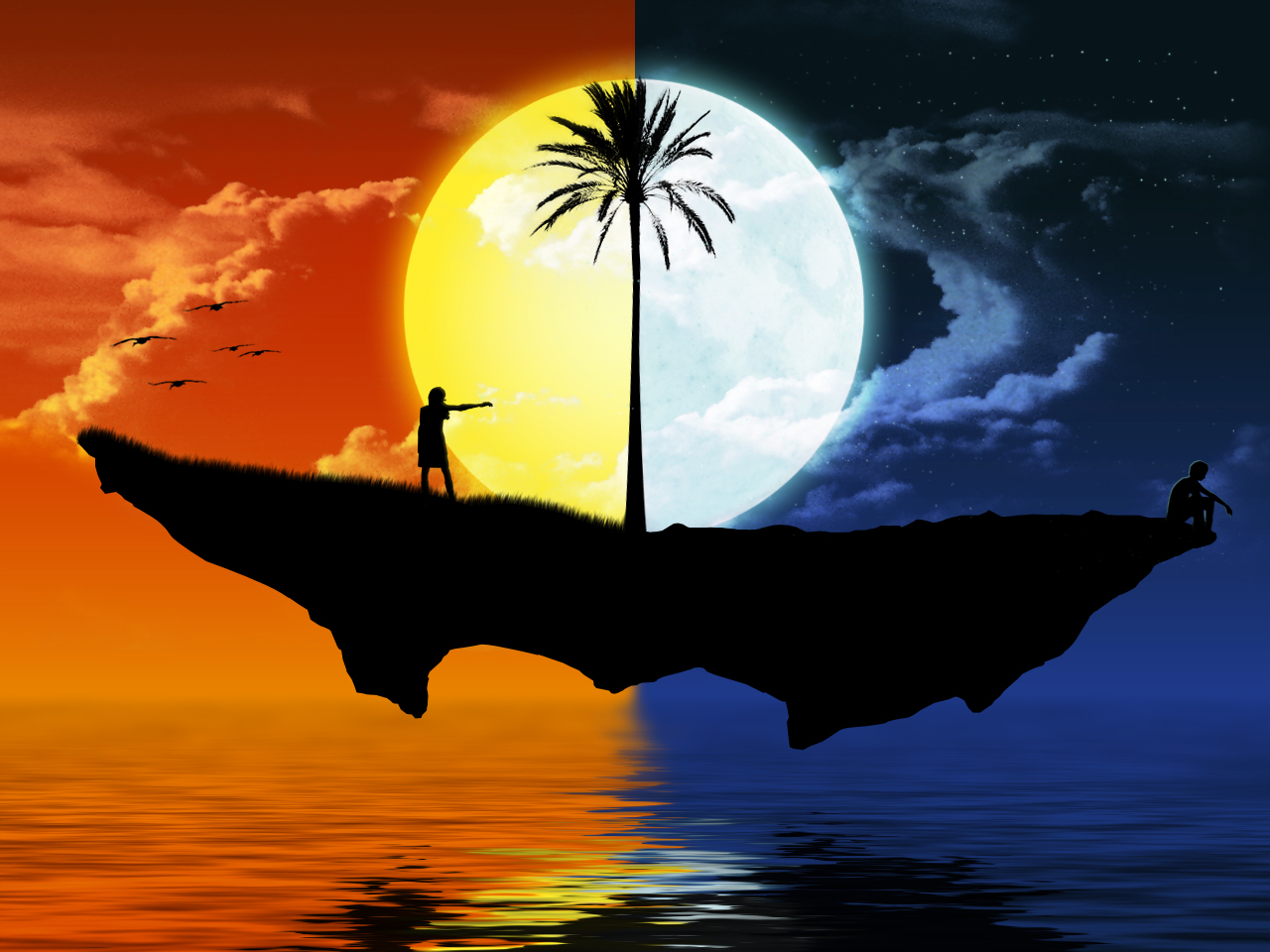 sun moon wallpaper,sky,calm,silhouette,horizon,palm tree