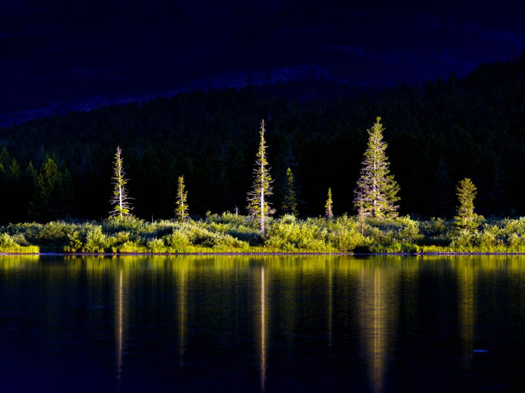 fondo de pantalla np,naturaleza,paisaje natural,reflexión,árbol,cielo