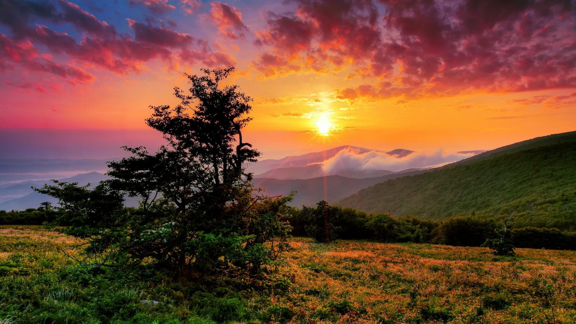 fond d'écran hd 16 9,ciel,paysage naturel,la nature,lever du soleil,le coucher du soleil