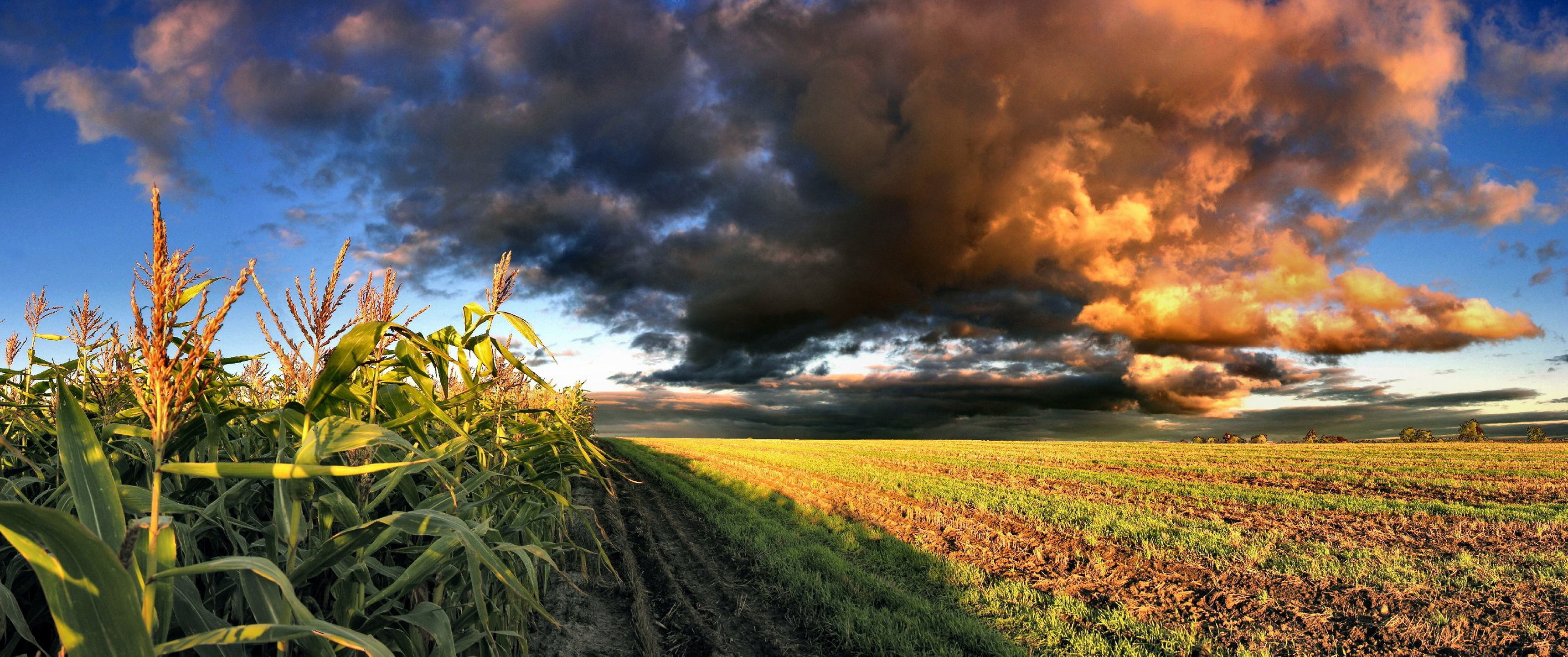 ultra wide wallpaper 3440x1440,sky,natural landscape,nature,cloud,field