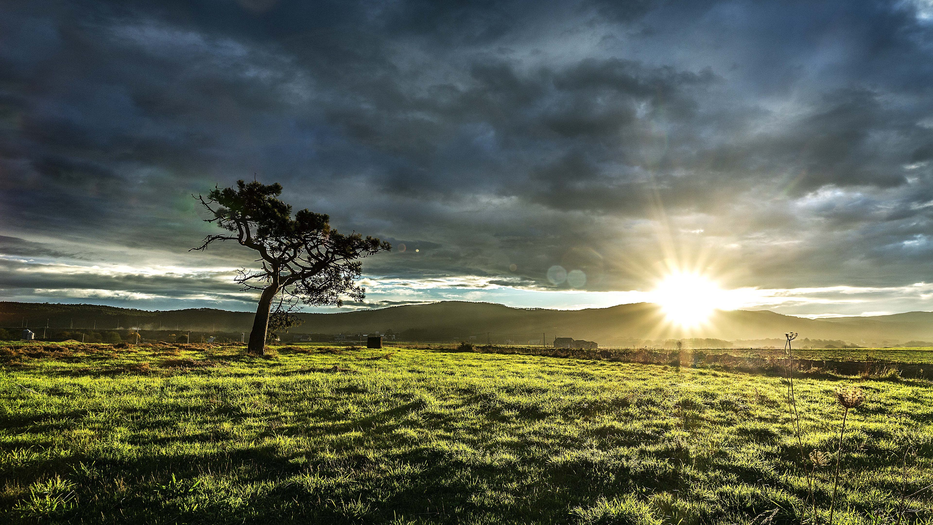 ultra widescreen wallpaper,sky,natural landscape,nature,tree,cloud