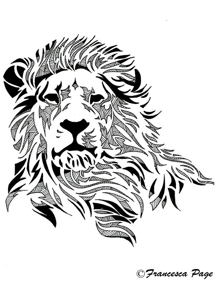 Tatuajes Wallpaper Lion Black And White Line Art Head Illustration Wallpaperuse