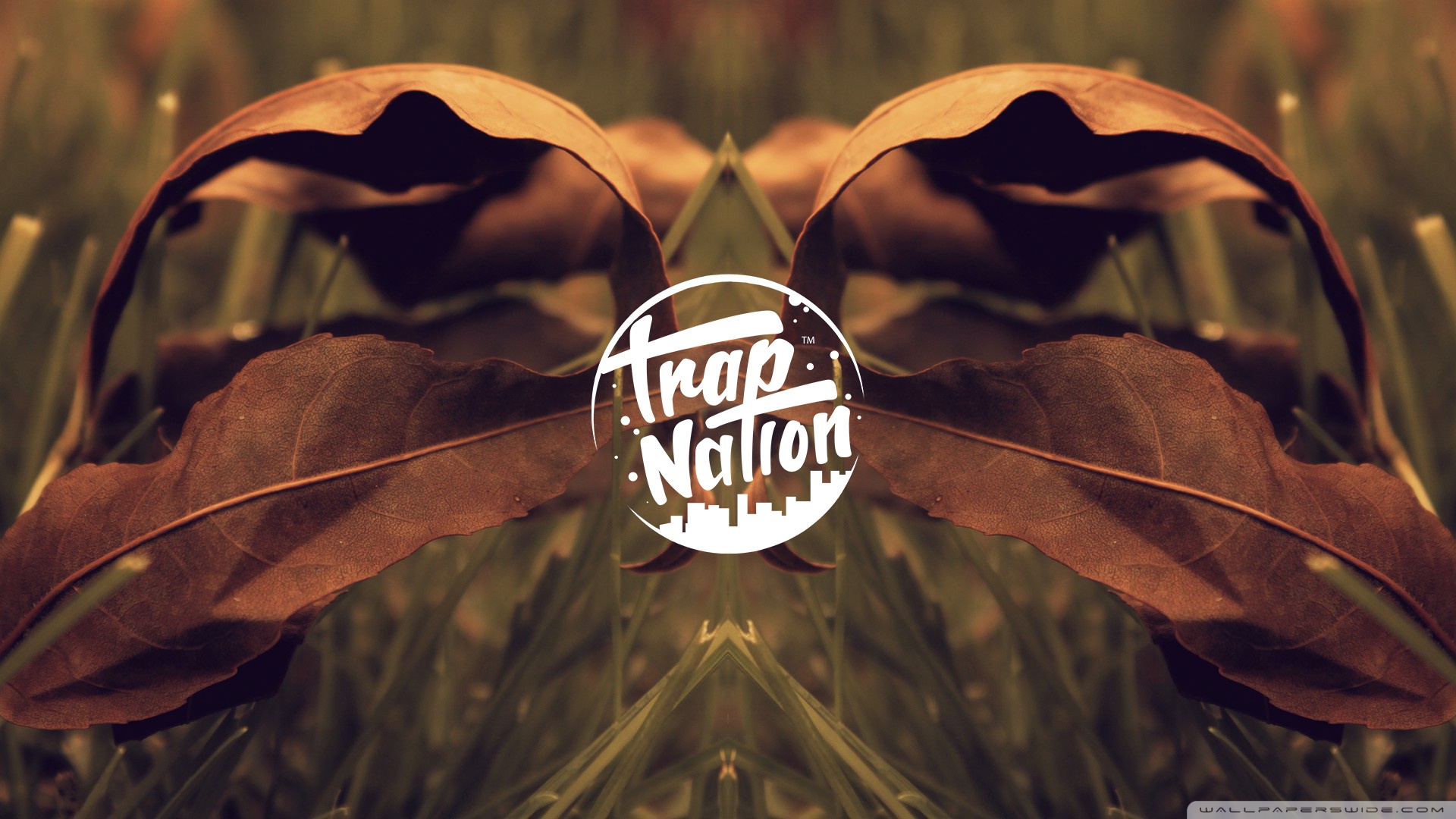 trap nation wallpaper hd,leaf,font,logo,graphics,plant