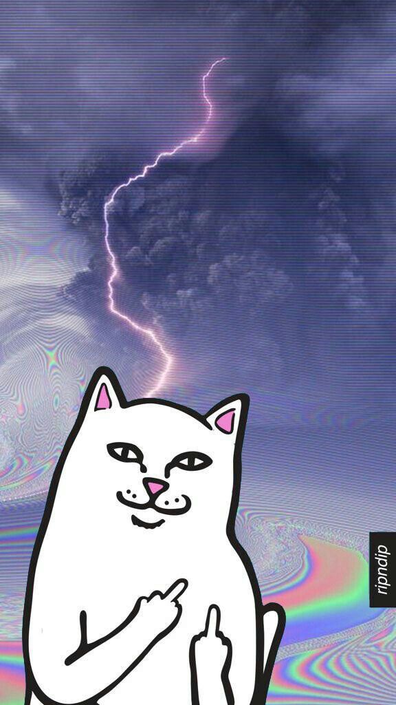 rip and dip wallpaper,sky,cat,thunder,lightning,thunderstorm