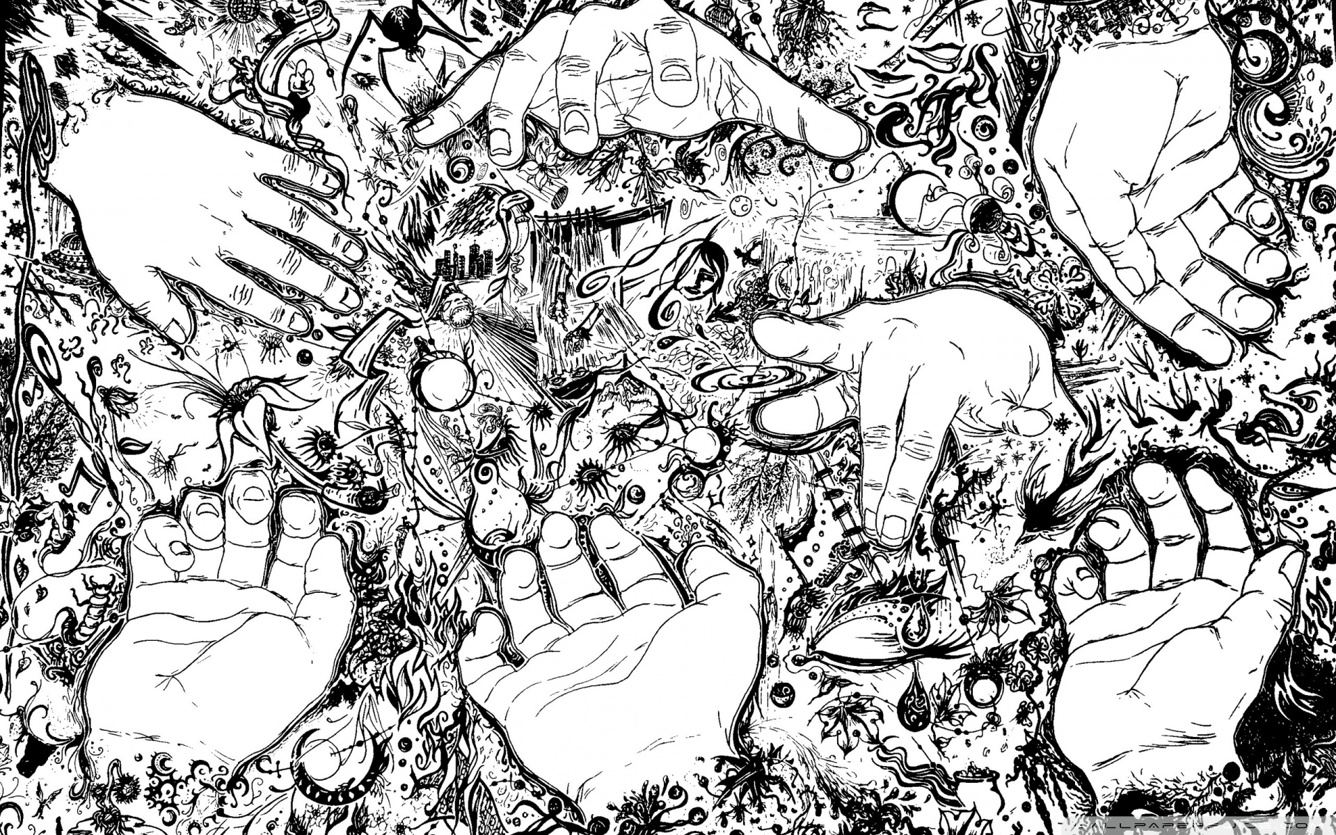 Draw On Wallpaper line Art illustration monochrome drawing organism