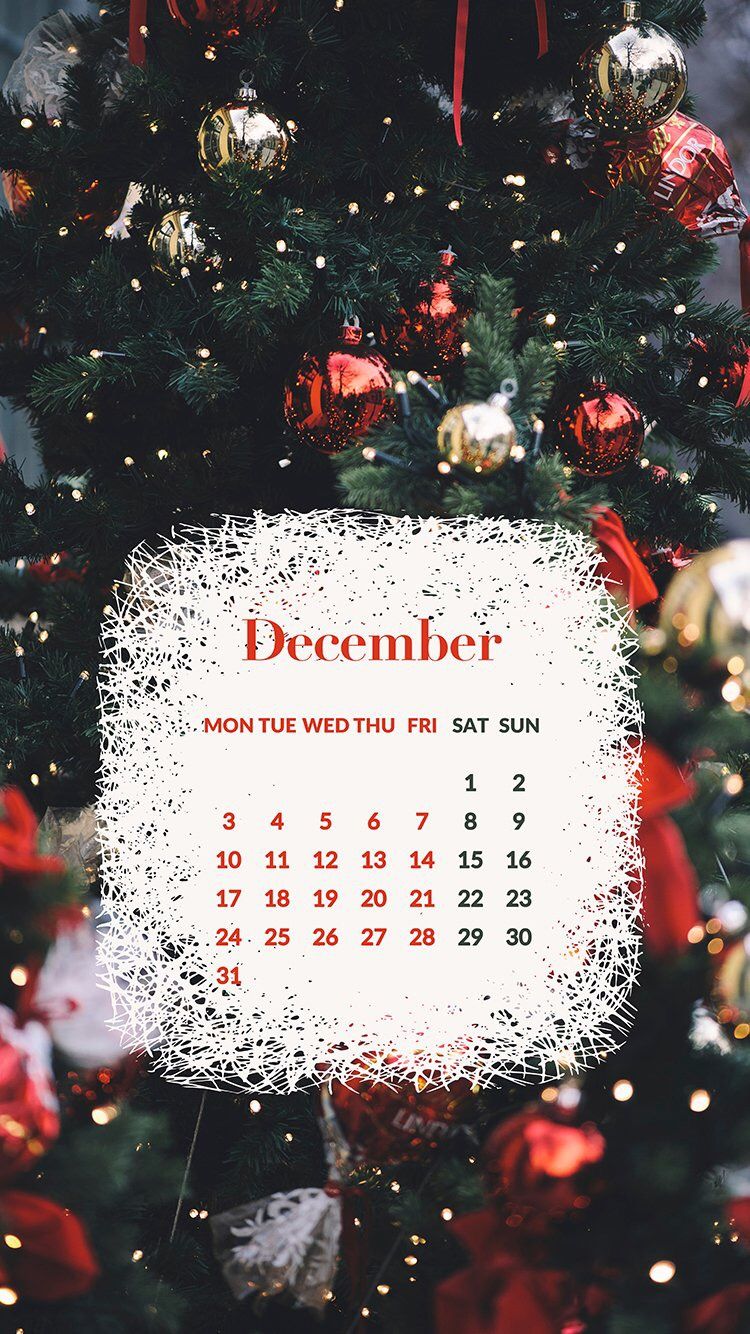 diciembre fondo de pantalla para iphone,decoración navideña,navidad,árbol de navidad,nochebuena,decoración navideña