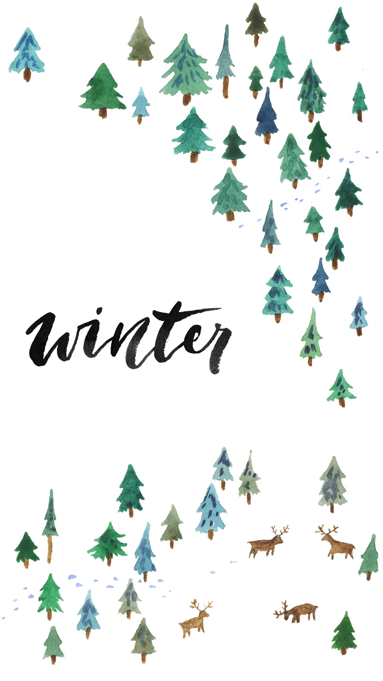 december iphone wallpaper,leaf,colorado spruce,oregon pine,tree,plant