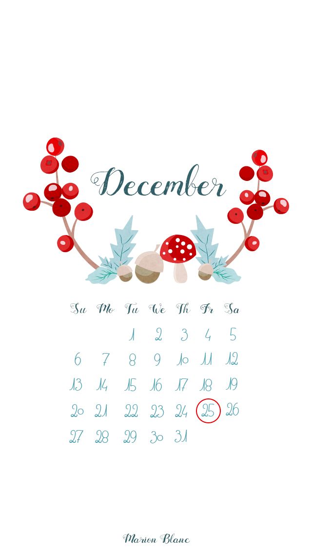 december iphone wallpaper,text,font,plant,berry,fruit
