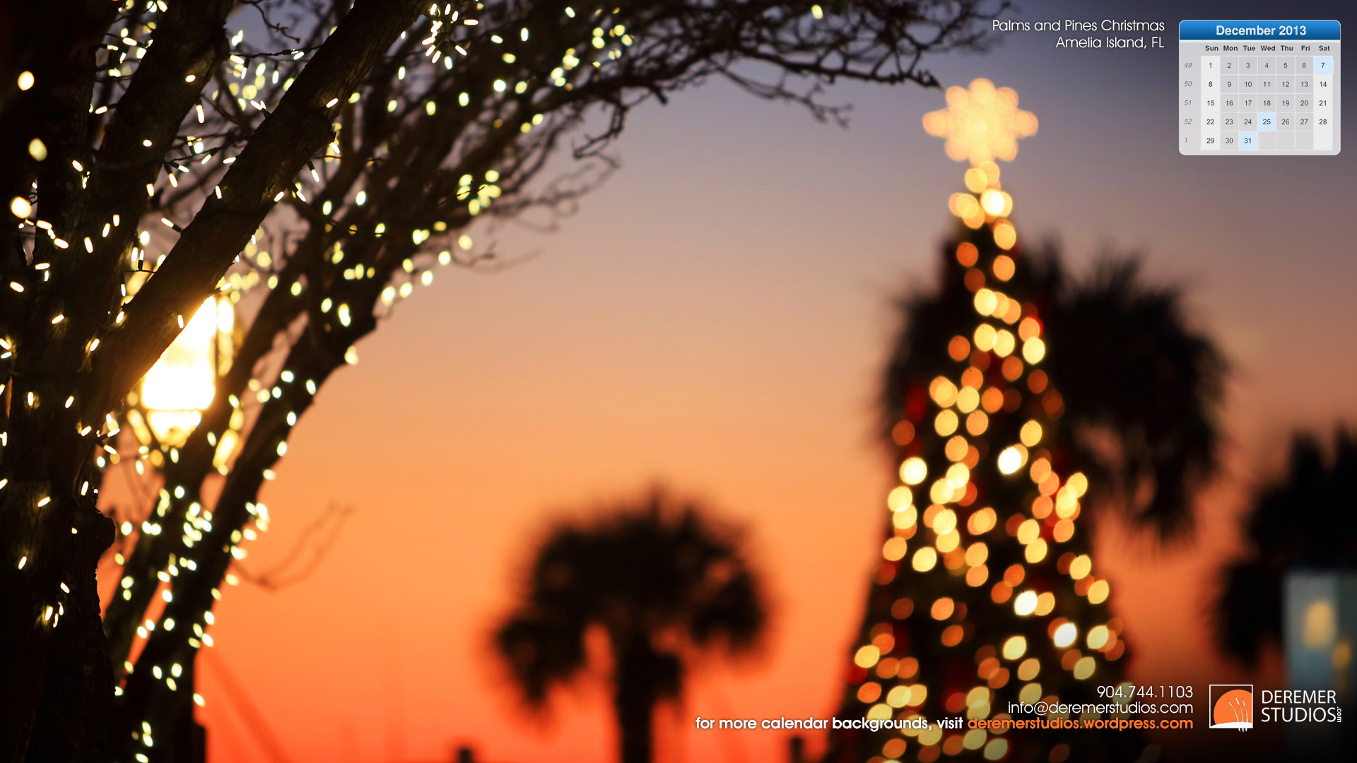 fond d'écran décembre hd,arbre,ciel,éclairage,lumières de noël,plante ligneuse