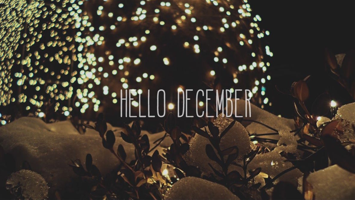 dezember tapete hd,beleuchtung,schriftart,blatt,menge,veranstaltung