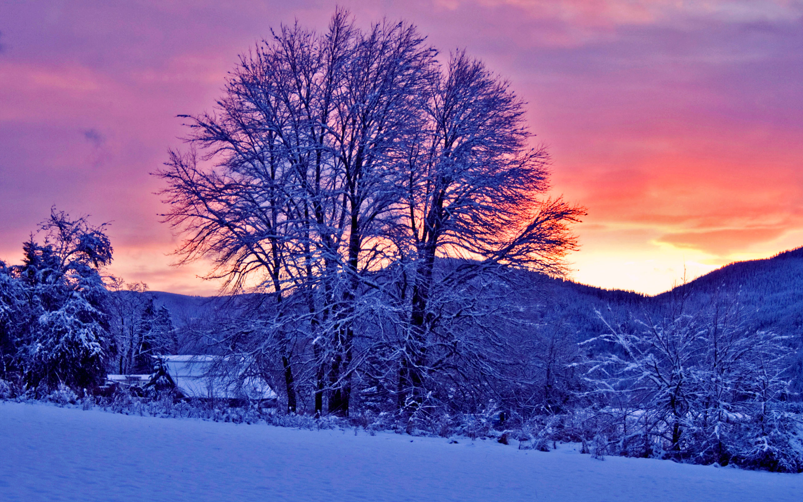 immagini di gennaio sfondo,cielo,inverno,paesaggio naturale,natura,neve