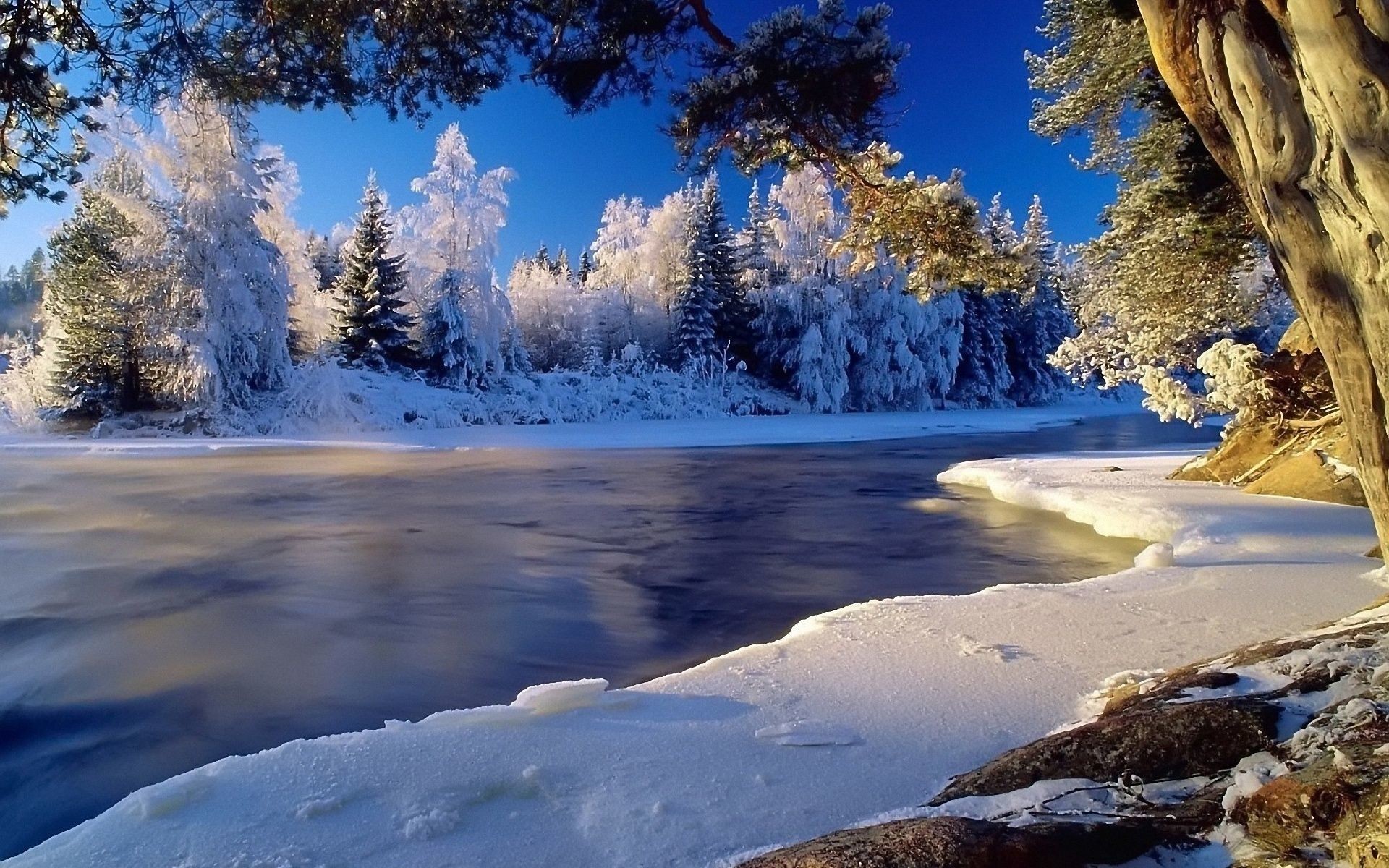 january pictures wallpaper,snow,winter,natural landscape,nature,sky
