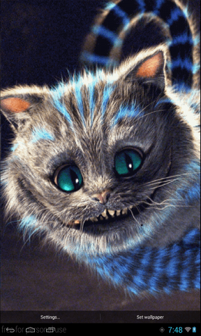 cheshire cat live wallpaper,katze,schnurrhaare,felidae,kleine bis mittelgroße katzen,getigerte katze