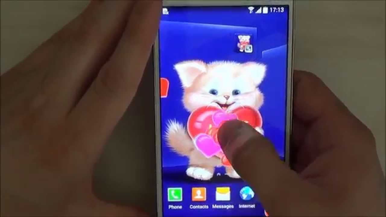 lindo gato de pantalla en vivo,teléfono móvil,artilugio,teléfono inteligente,dispositivo de comunicación,dispositivo de comunicaciones portátil