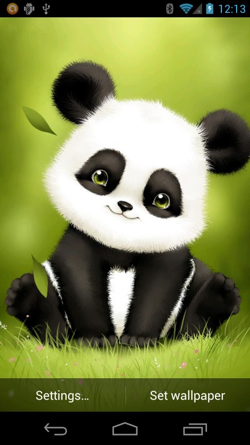 cute baby live wallpaper,panda,terrestrial animal,snout,bear,organism