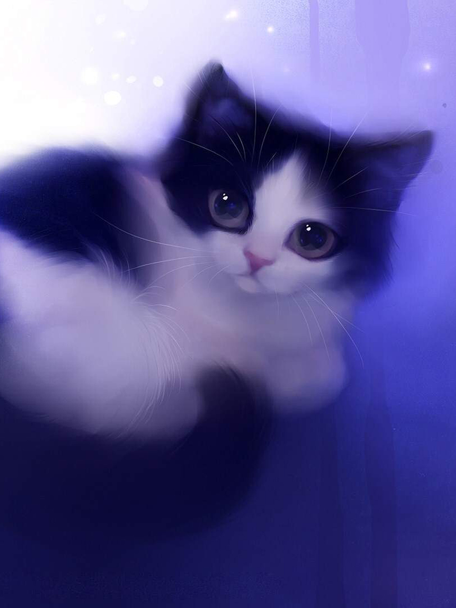 lindo fondo de pantalla de dibujos animados de gato,gato,gatos pequeños a medianos,felidae,bigotes,azul