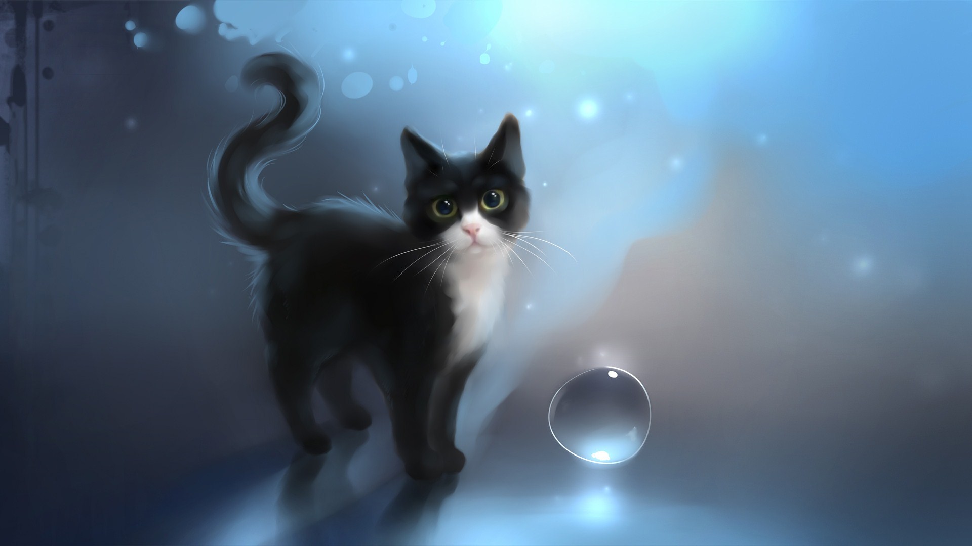 fond d'écran dessin chat,chat,moustaches,chats de petite à moyenne taille,félidés,chat noir