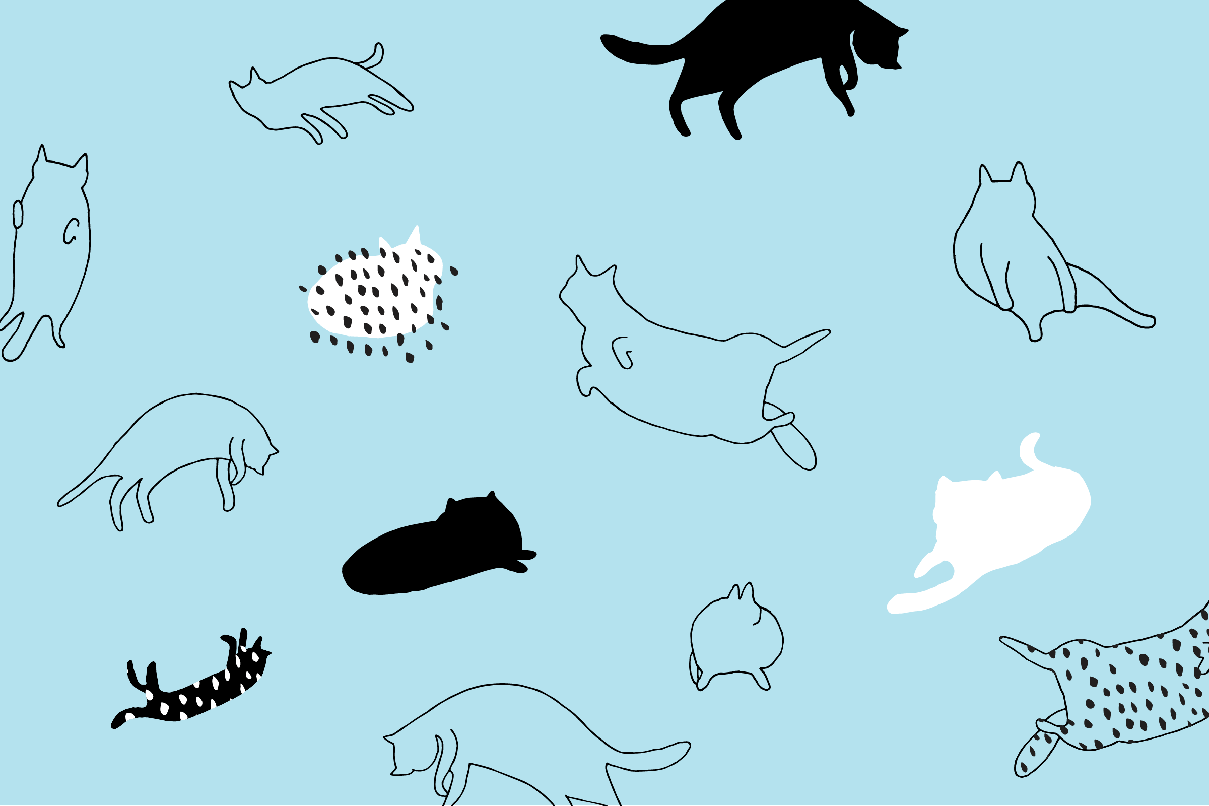 cat drawing wallpaper,organism,wildlife,tail,fish,illustration