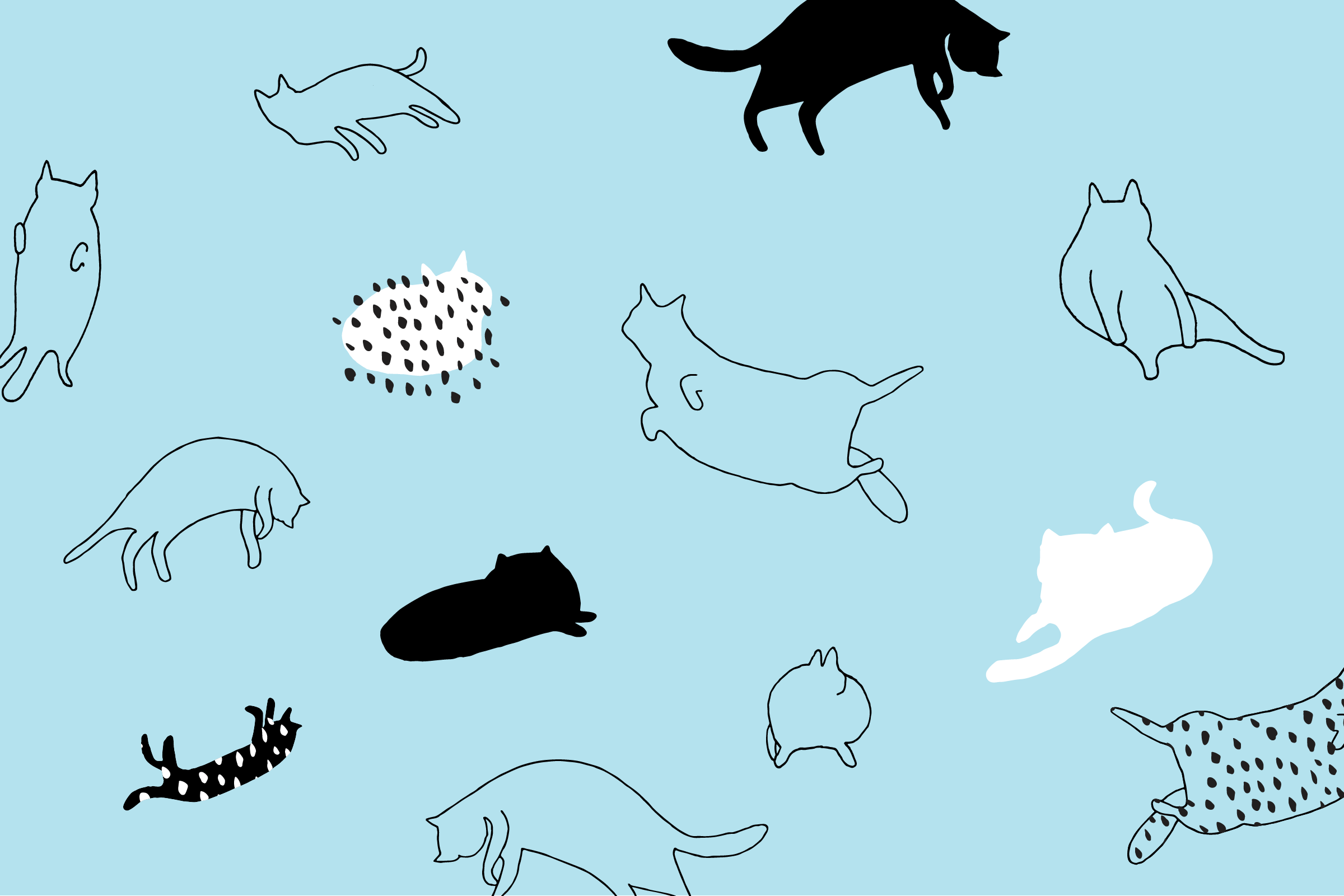 katze zeichnung tapete,tierwelt,fisch,illustration,tierfigur,meeressäugetier