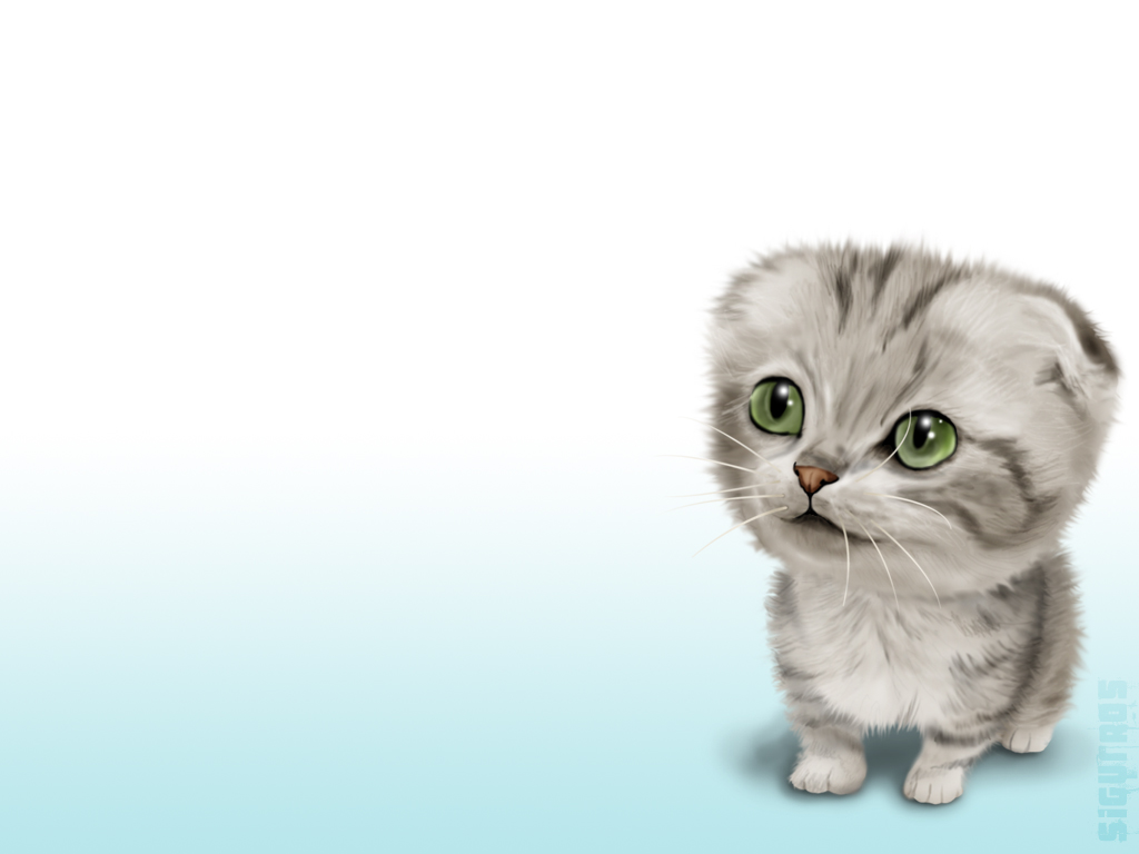 wallpaper แมว,cat,small to medium sized cats,mammal,felidae,whiskers