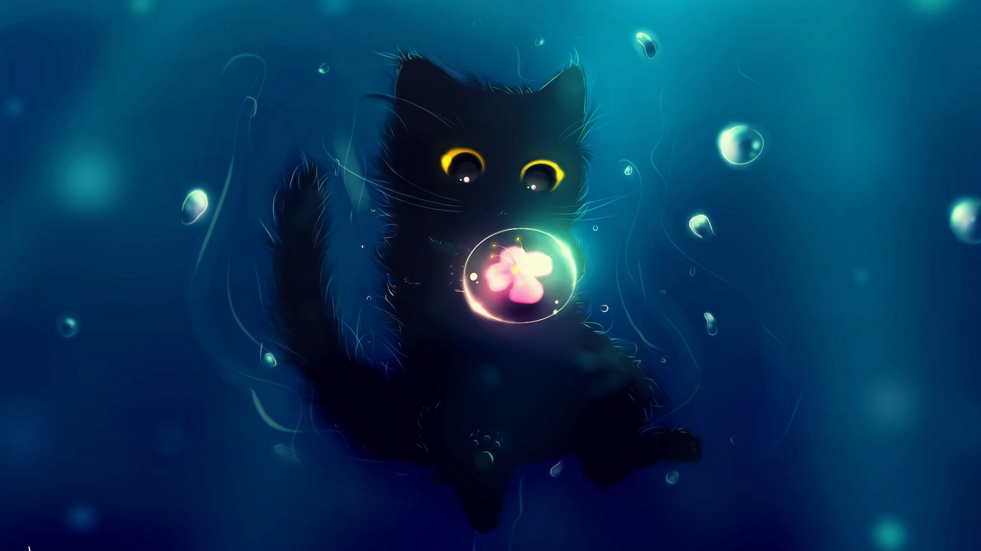 katze hd wallpaper 1920x1080,blau,licht,wasser,platz,himmel