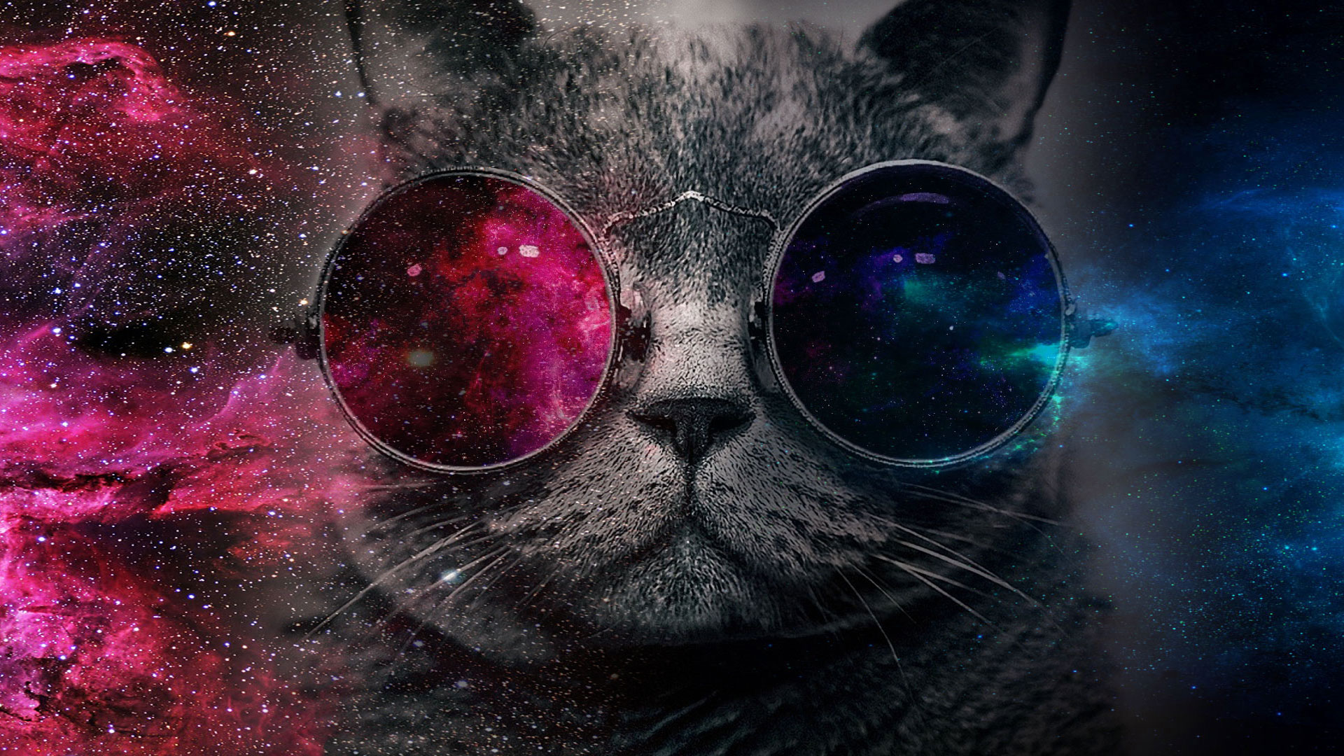 cat with sunglasses wallpaper,eyewear,purple,cat,pink,nebula